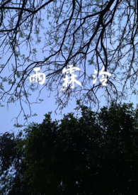雨霖婞的cp